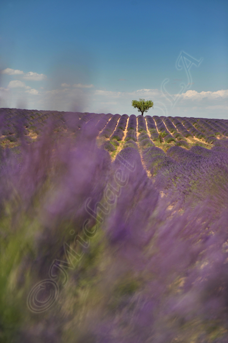 © Smike Photography by Michael Sola - All Rights Reserved